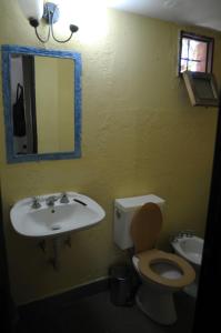 瓜伊马延Alojamiento + Casa de Arte en Mendoza(ARG)的一间带水槽、卫生间和镜子的浴室