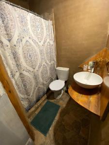 圣安娜Eco Posada Tierra Fértil的浴室设有卫生间、水槽和淋浴帘