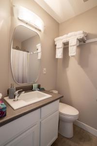 基洛纳Crawford View的一间带水槽、卫生间和镜子的浴室