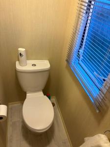 英戈尔德梅尔斯H13 Sunnymede的浴室设有白色卫生间和窗户