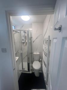 巴恩斯特珀尔Elegant House的一间带卫生间和步入式淋浴间的浴室
