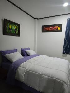 圣何塞Rohrmoser Geromax parque avion的卧室配有一张床,墙上挂有两张照片