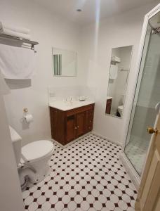 霍巴特The Macquarie Hobart的浴室配有卫生间、盥洗盆和淋浴。