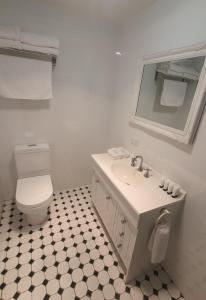 霍巴特The Macquarie Hobart的一间带卫生间、水槽和镜子的浴室