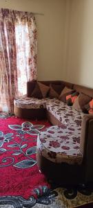 苏伊士For Family شاليه的带沙发和红地毯的客厅