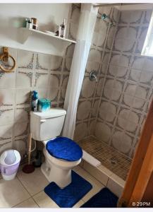 SeminetsShorrs Villas的带淋浴的浴室以及带蓝色座椅的卫生间。
