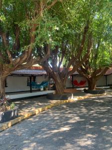 马那瓜hotel Las Cabañitas 8873-3748的建筑物前的一排树木