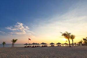 陵水海南蓝湾绿城威斯汀度假酒店（180°全海景客房）的海滩上的一群遮阳伞和棕榈树