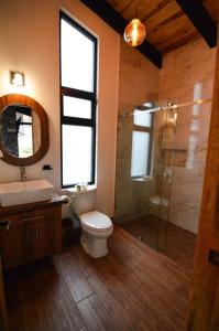 马萨米特拉Cabaña Mirtus的浴室配有卫生间、盥洗盆和淋浴。