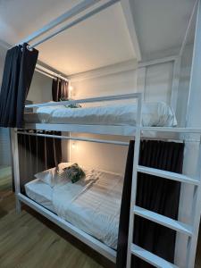 涛岛Tiger House Hostel Koh Tao的带梯子的客房内的两张双层床