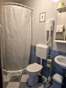克拉尼维亚维克住宿加早餐旅馆的一间带卫生间和水槽的浴室
