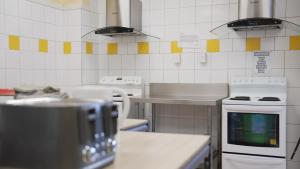 奥克兰银蕨背包客旅馆的厨房配有炉灶和台面