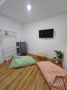 涛岛Tiger House Hostel Koh Tao的客厅配有2个枕头和平面电视