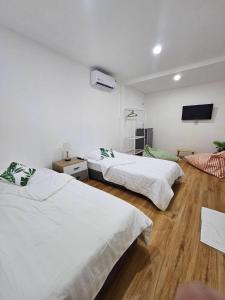 涛岛Tiger House Hostel Koh Tao的一间卧室配有两张床和一台平面电视
