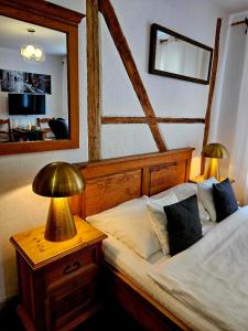 西维德尼察扎格洛巴宾馆的一间卧室配有一张带镜子和灯的床