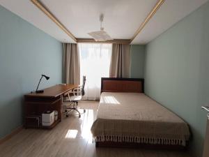 乌兰巴托Diplomat Apartment的一间卧室配有一张床、一张书桌和一个窗户。