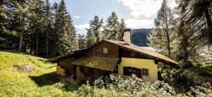 雷西亚Chalet am Reschensee的树林中一座山丘上的老房子