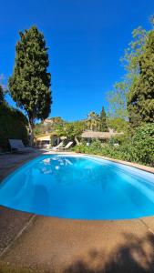 巴尔德莫萨Son Niu Vell-La Hermossa的一个大型蓝色游泳池,后面有树