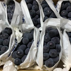 甲州Kajitsuno mieru yado - Vacation STAY 06979v的塑料袋里的一堆蓝莓
