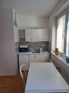 奥洛穆茨apartmán s krbem的厨房配有白色橱柜、桌子和微波炉
