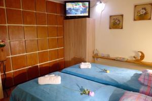 雅典雅典格利法达一室公寓的客房设有一张蓝色的床,墙上配有电视。