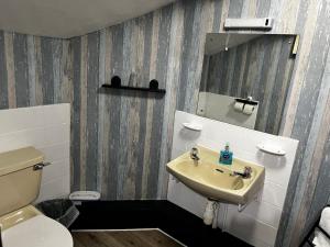 里斯Black Bull Hotel的一间带水槽、卫生间和镜子的浴室