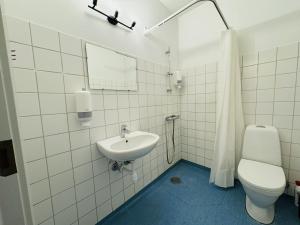 兰讷斯aday - Randers cozy 1 bedroom apartment的一间带水槽、卫生间和镜子的浴室