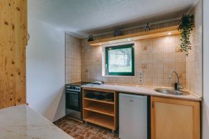西格利盖特Feher Barany Apartment的一间带水槽和炉灶的小厨房