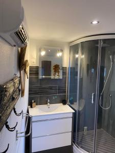 普隆比埃莱班Appartement cocooning a ruaux的带淋浴和盥洗盆的浴室