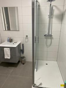 斯特拉斯堡La Petite Auberge de Strasbourg的带淋浴和盥洗盆的浴室