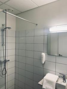 BorgarhöfnVagnsstadir Guesthouse的带淋浴、盥洗盆和镜子的浴室