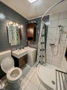 鲍洛通维拉戈什MIHI APARTMAN的浴室配有卫生间、盥洗盆和淋浴。