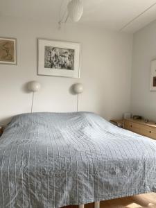 哥本哈根ApartmentInCopenhagen Apartment 1601的一间卧室配有一张带灰色毯子的床