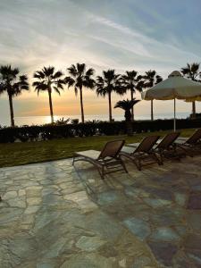 帕福斯普拉特齐亚海滩别墅酒店的一组椅子、一把伞和棕榈树