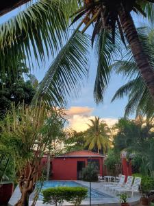 贝岛Bungalow chez Mouch Nosy-Be 4的一个带游泳池和棕榈树的度假村