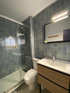 蒙特里夏尔Horizon sur le Cher的浴室配有卫生间、盥洗盆和淋浴。