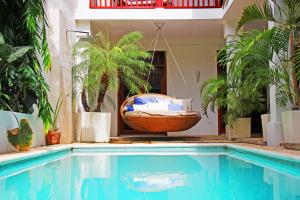 莱昂Hotel and Coffe Azul的植物丛中带秋千的游泳池
