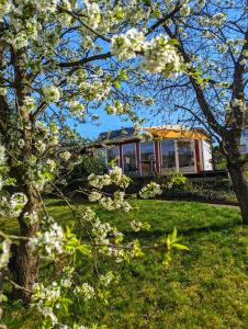 BerggiesshübelHaus Perthen的院子里有一棵白花树的房子