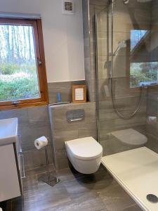 阿维莫尔Cairngorm Lodge Rothiemurchus的带淋浴、卫生间和盥洗盆的浴室