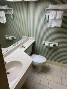 亚特兰大Barclay Hotel Atlanta Downtown的一间带水槽和卫生间的浴室
