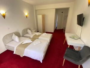 波亚纳布拉索夫Chalet Wiese的酒店客房设有两张床和一张桌子。