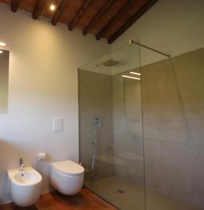CampagnaticoMarrucheti 82的带淋浴、卫生间和盥洗盆的浴室