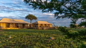 塞伦盖蒂国家公园Serengeti Malaika Luxury Camp的田野上带帐篷的建筑