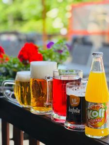 DoubiceHotel Jef a Krčma u Rytíře的桌上四种不同类型的啤酒杯