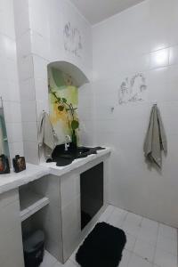 劳鲁-迪弗雷塔斯Hospedaria Guapê的白色的浴室设有水槽和镜子