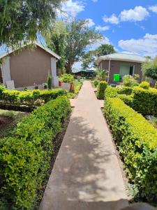 MpongweBukari Executive Lodge的穿过灌木丛和房屋的花园的步道