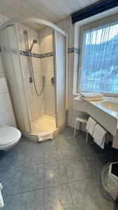 措布伦阿尔潘罗斯酒店的带淋浴、卫生间和盥洗盆的浴室