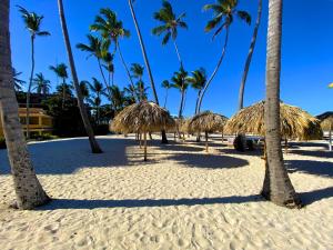 蓬塔卡纳CARAIBICO STUDIOS Beach Club & Pool的棕榈树和草伞的沙滩