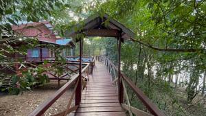 CajualVista do Lago Jungle Lodge的森林中间的木桥