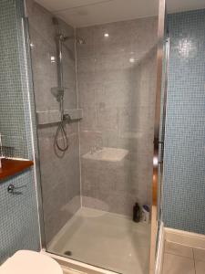 伦敦Turner House的带淋浴和卫生间的浴室